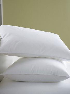 Vacuum Packed Filled Pillow Pair - Zaraish.com